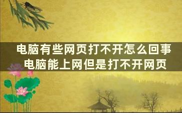 电脑有些网页打不开怎么回事 电脑能上网但是打不开网页